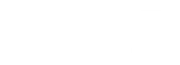 FGZ Consulting